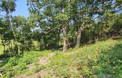 Mclean Road, Ozark, MO 65721