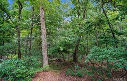 1524 Shalimar Ridge Lane, High Ridge, MO 63049