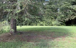 850 tbd EMERSON DR lot: 059C1-02-00-03000, CHARLOTTESVILLE, VA 22901