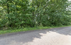 21597 Puterbaugh Lane, Cassopolis, MI 49031