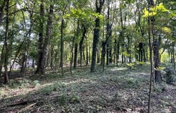 11 Camille Circle, Gadsden, AL 35901