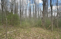 Pigtail Road, Friendship, NY 14739