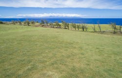 Hawi, HI 96719