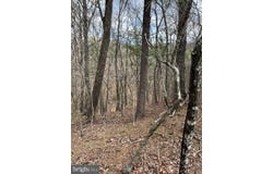 VALLEY VIEW, BASYE, VA 22810