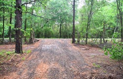 Collins Road, Nash, TX 75569