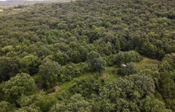 HWY 28, Ola, AR 72853