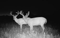 15th Rd & Unique Rd, Bronson, KS 66755