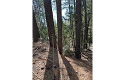 71 & 87 Alpine Court, Trinity Center, CA 96091