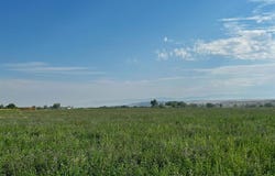 Orchard Bench Rd, Basin, WY 82410