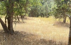 200 Creek Crossing Rd, Hayfork, CA 96041