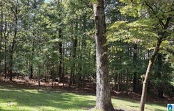 237 DRAGLINE LANE, LEEDS, AL 35094
