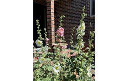 52 Villa Dr, Pueblo, CO 81001