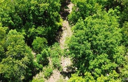 Salem, MO 65560