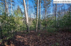 Prime Circle, Piney Creek, NC 28663