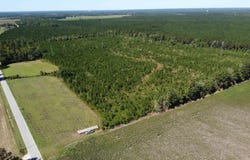 Tema Road, Hartsville, SC 29550