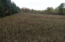 20th Avenue, Cadott, WI 54727