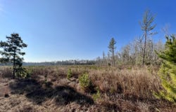 County Road 219, Selma, AL 36701