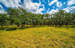 20 Legacy Oaks Dr, Harper, TX 78631