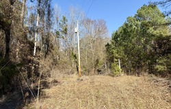 Attala Rd 4136, Sallis, MS 39160