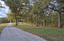 Highway D - Tract 6a (12.1+/- Acres), Eolia, MO 63344