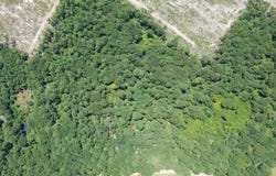 6.18AC County Road 3103, Call, TX 75933
