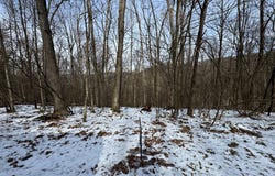 Overlook Drive, Franklin, PA 16323