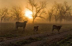 0000 Steck Bottom Road, SEALY, TX 77474