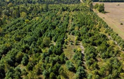 Shively Road, Fife Lake, MI 49633