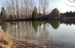 1 CR 457 Road, Pollard, AR 72456