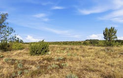 Twisted Creek Ranch lot: 46, Gustine, TX 76455