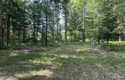 802 Beaver Road, Bitely, MI 49309