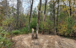 W10730 Sand Creek Court, Merrillan, WI 54754