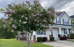 9073 Parlor Drive, Ladson, SC 29456