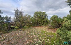 21 Wagon Circle, Quemado, NM 87829
