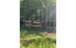 CR 23C, Jewett, NY 12444