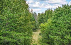 Tract B Hwy 21, Babbitt, MN 55706