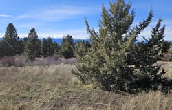 Shoreview Drive, Chiloquin, OR 97624