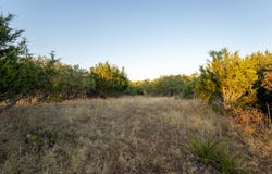 113 S John Bird, Blanco, TX 78606