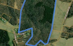 Locust Grove Road, Westfield, NC 27053