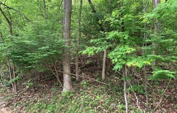 Lakeview Village, Prestonsburg, KY 41653