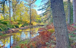 THIRD CREEK SUBDIVISION lot: 7, Paradise, MI 49768