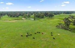 COUNTY ROAD 774, WEBSTER, FL 33597