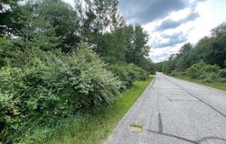 1090 Carmen Drive lot: 43/44, Weidman, MI 48893