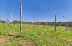 Multiple N Omena Rise, Northport, MI 49670