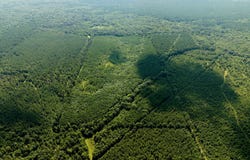 79 County Road 2349, Louin, MS 39338