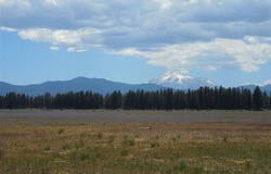 Robison Rd., Macdoel, CA 96058
