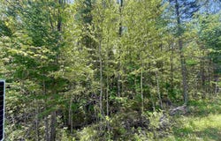 Mountain Road, Burke, VT 05832