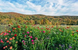 23 Calais Road, Worcester, VT 05682