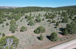 Buttonwood Drive lot: 15, Ramah, NM 87321