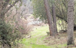 Red Bank Rd, Red Bluff, CA 96080